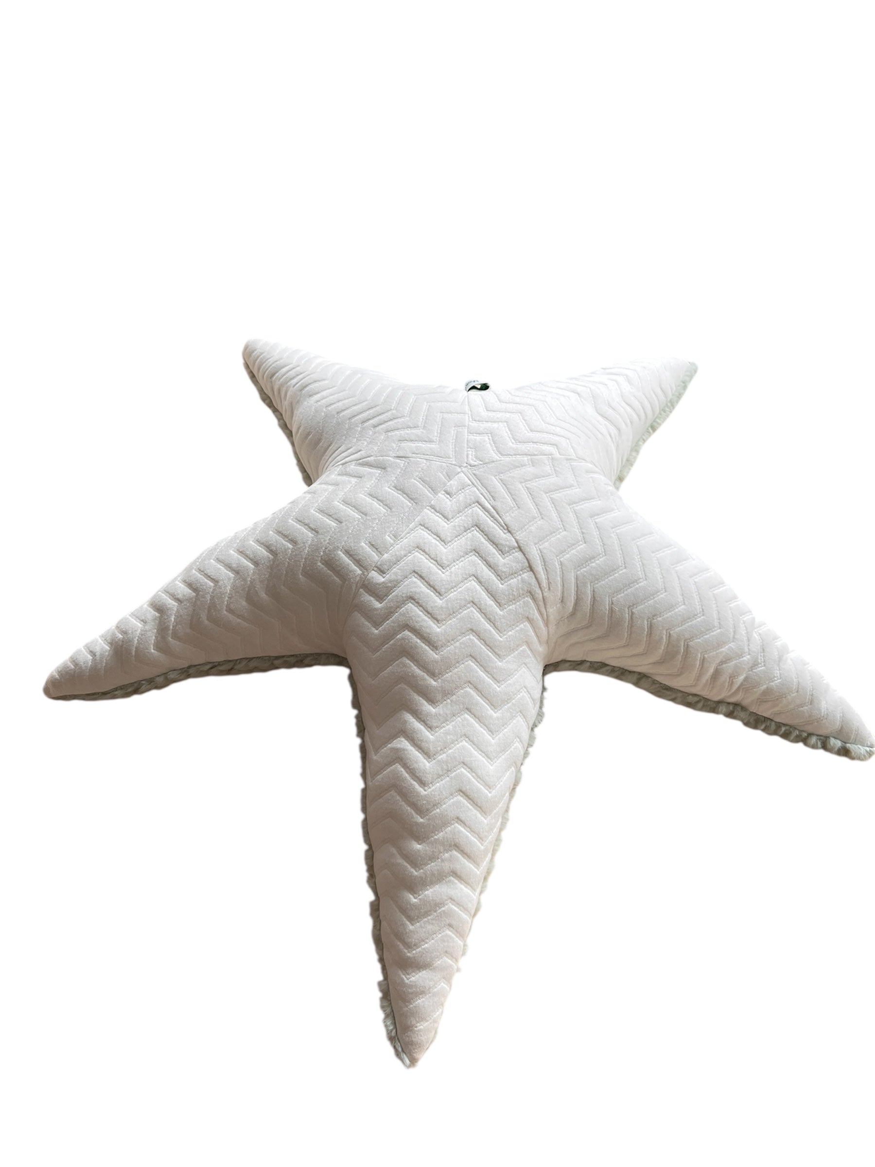 Ozean Kollektion | Seastar Big