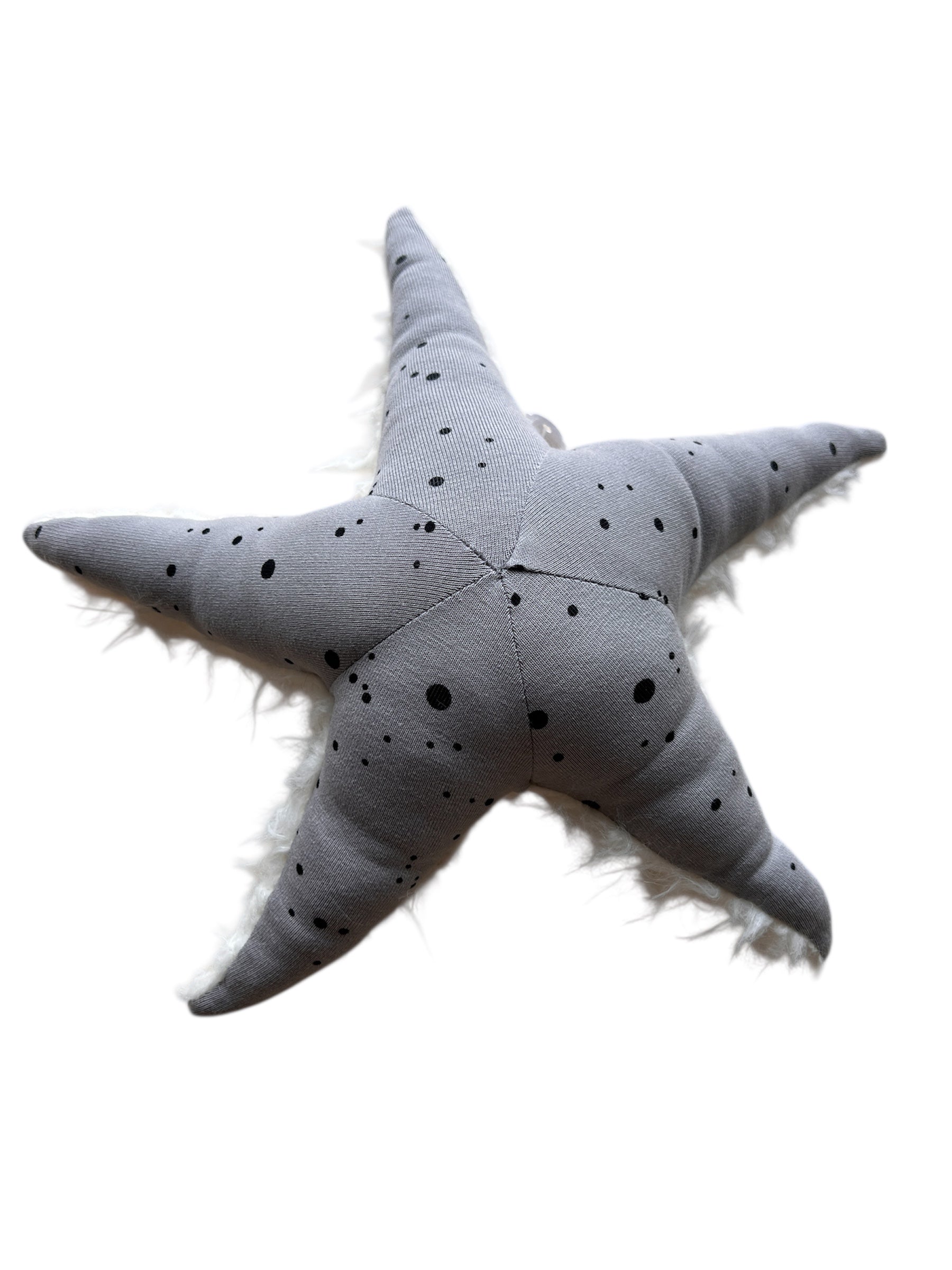 Ozean Kollektion | Seastar mini Rassel