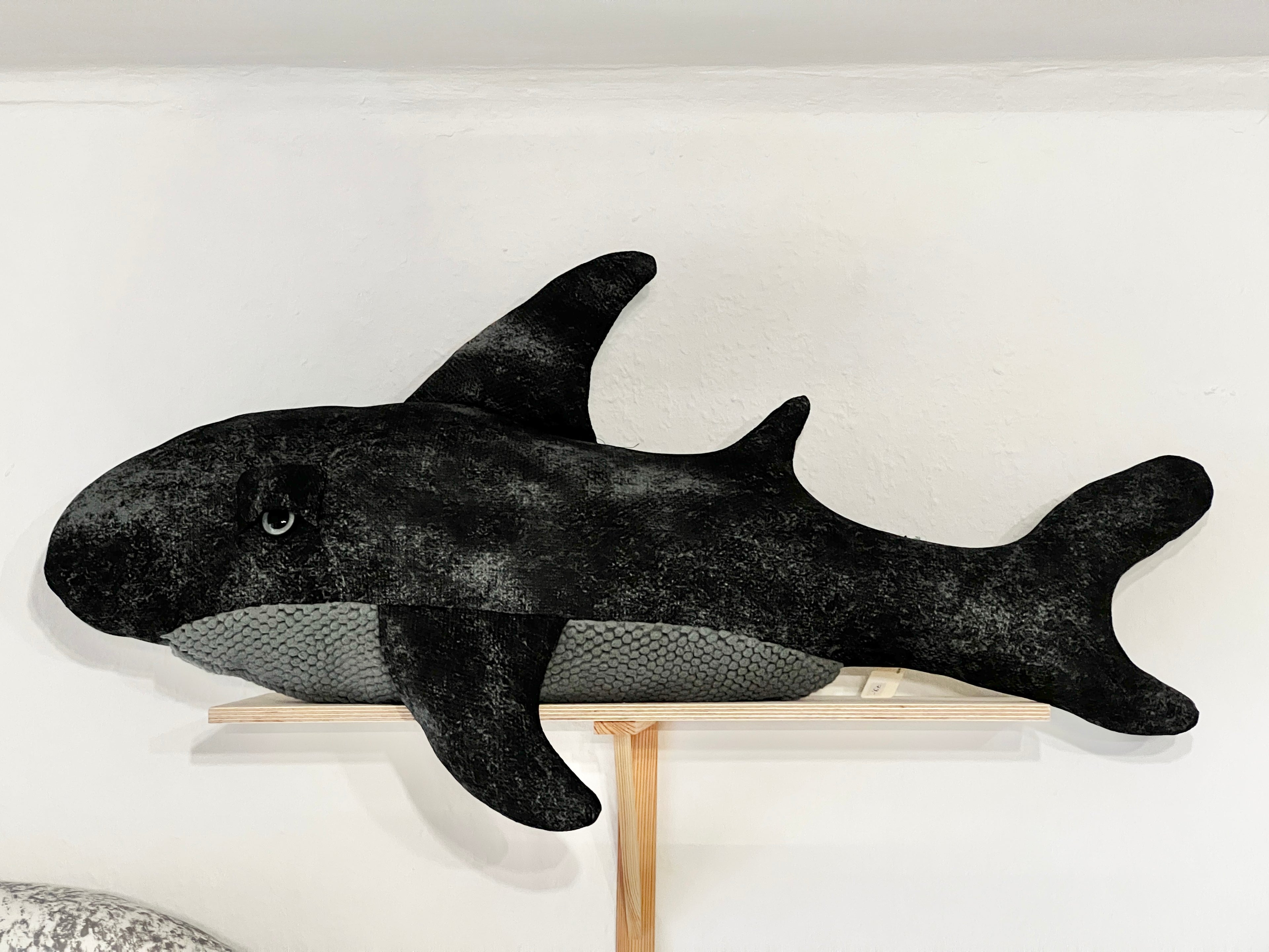 Ozean Kollektion | Shark