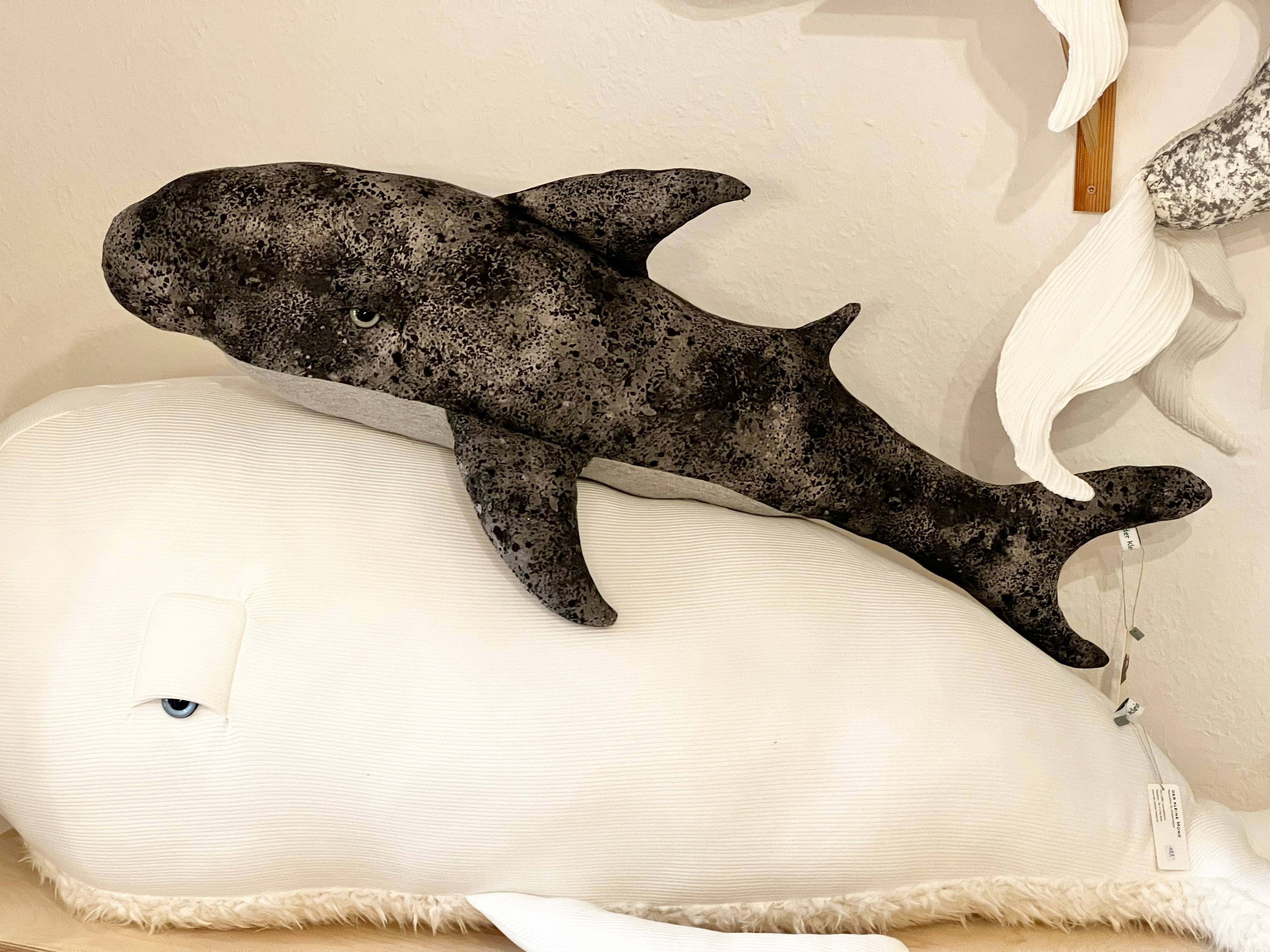 Ozean Kollektion | Shark