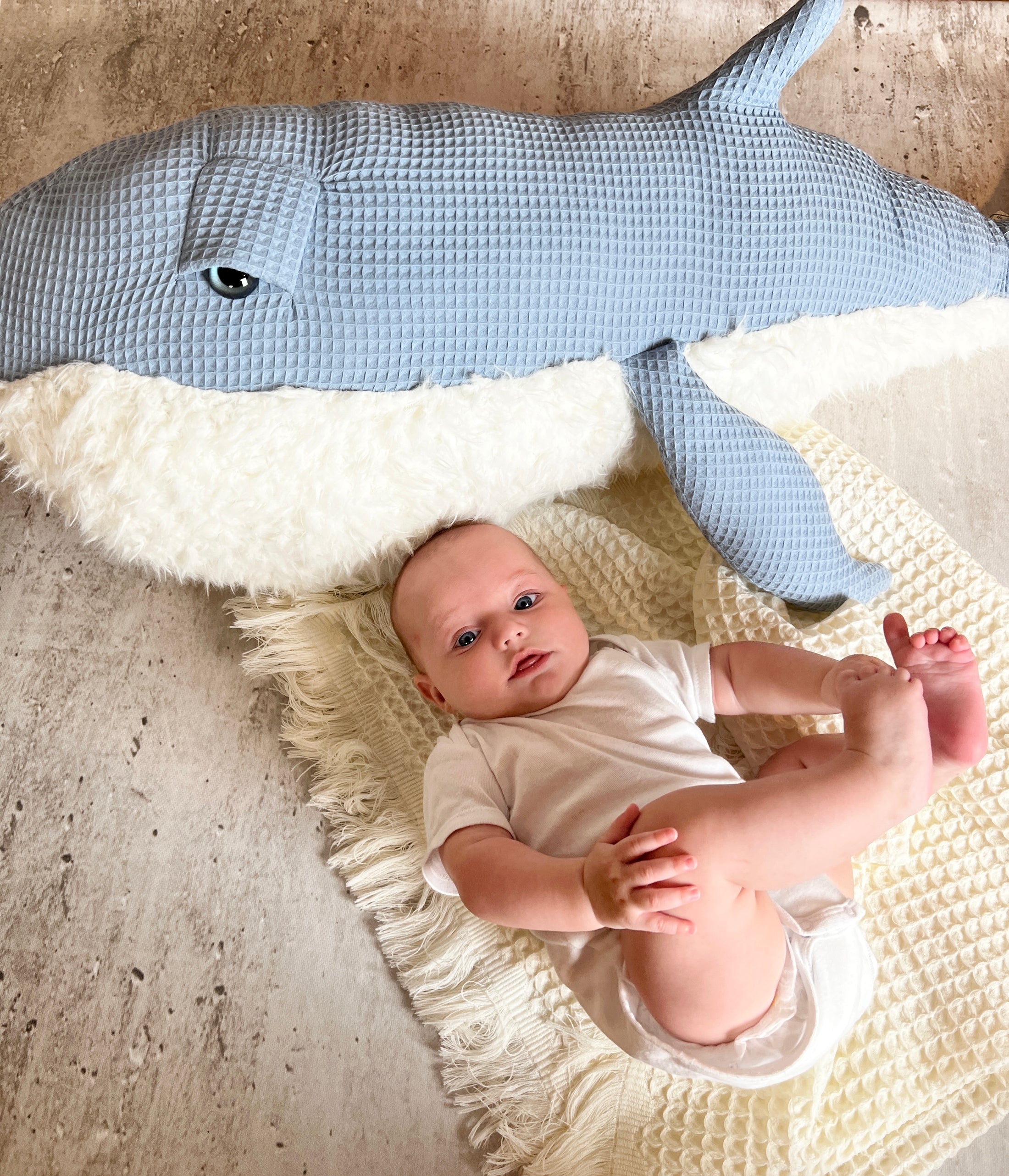 Ozean Kollektion | Blauwal Medium