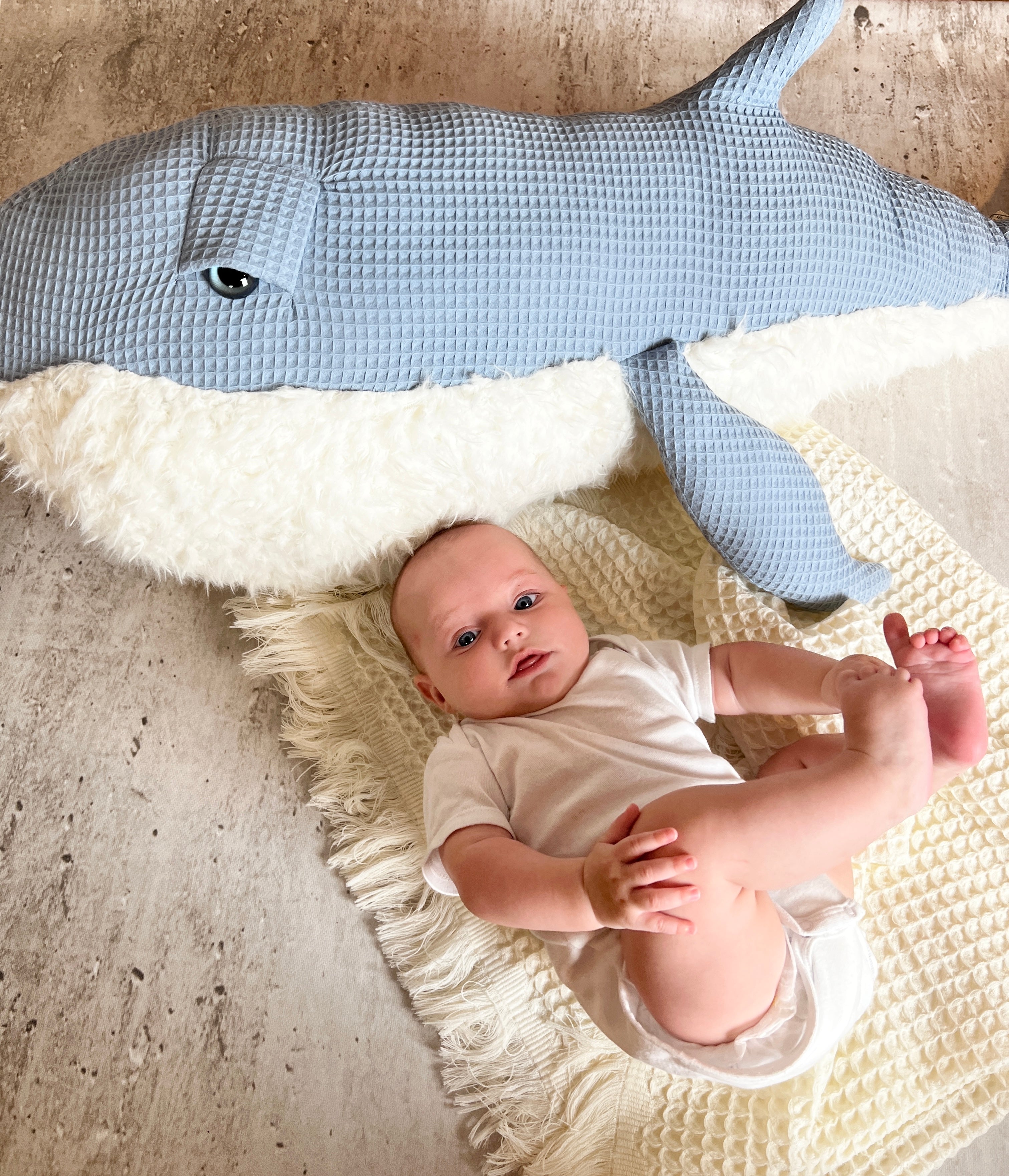 Ozean Kollektion | Blauwal Medium