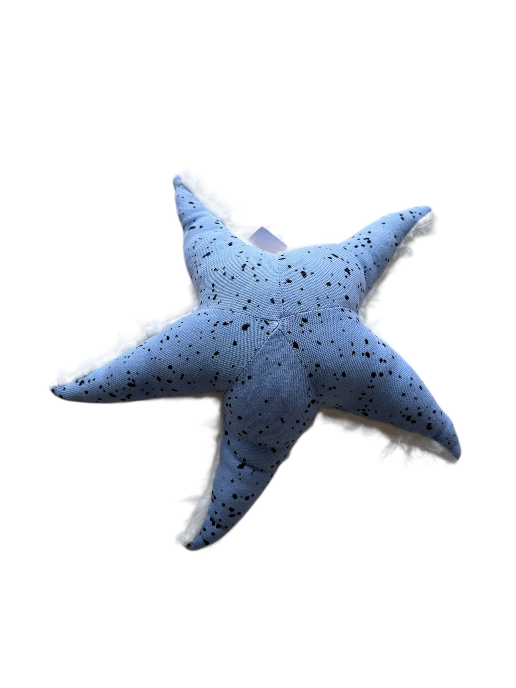 Ozean Kollektion | Seastar mini Rassel