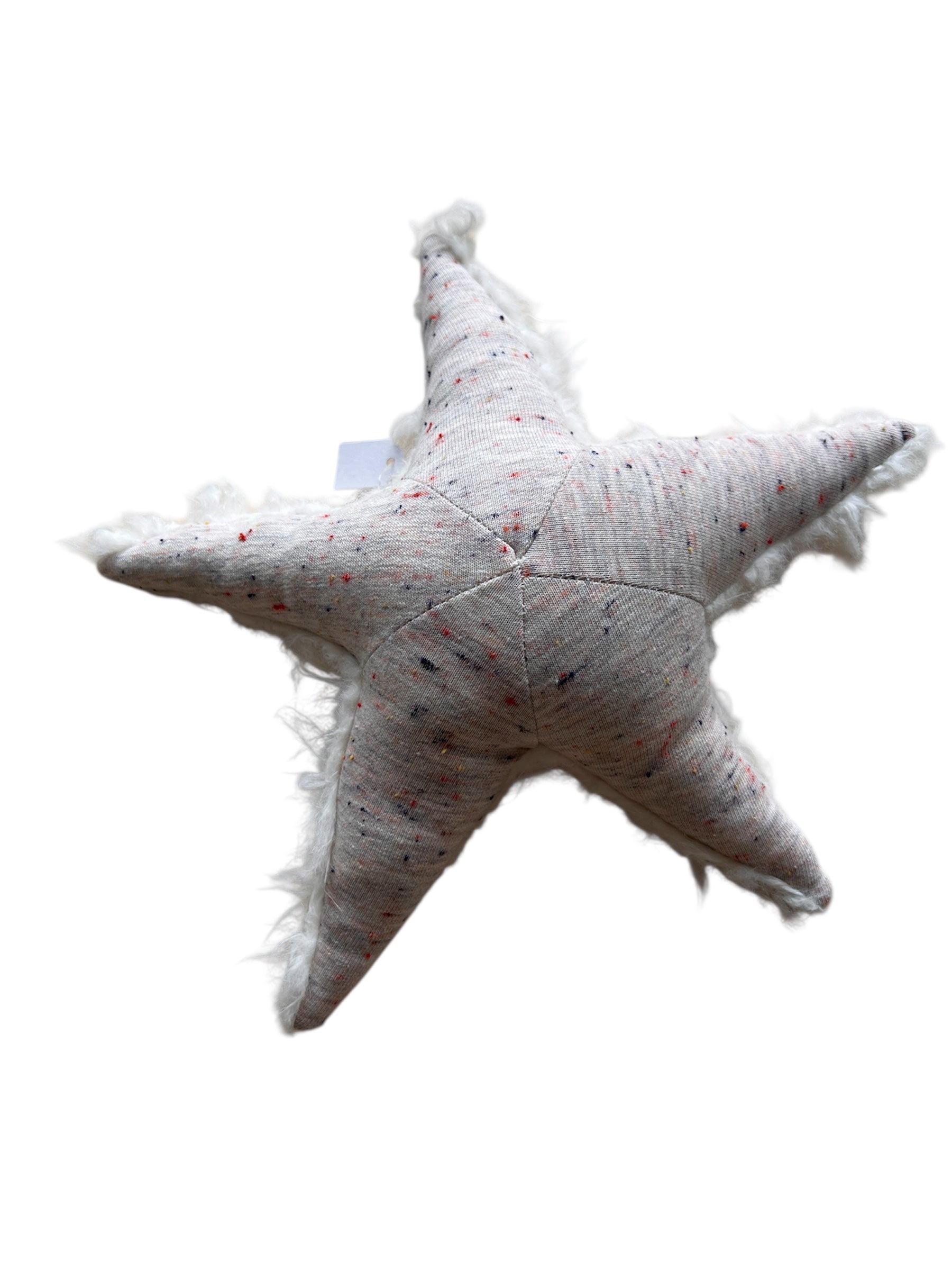 Ozean Kollektion | Seastar mini Rassel