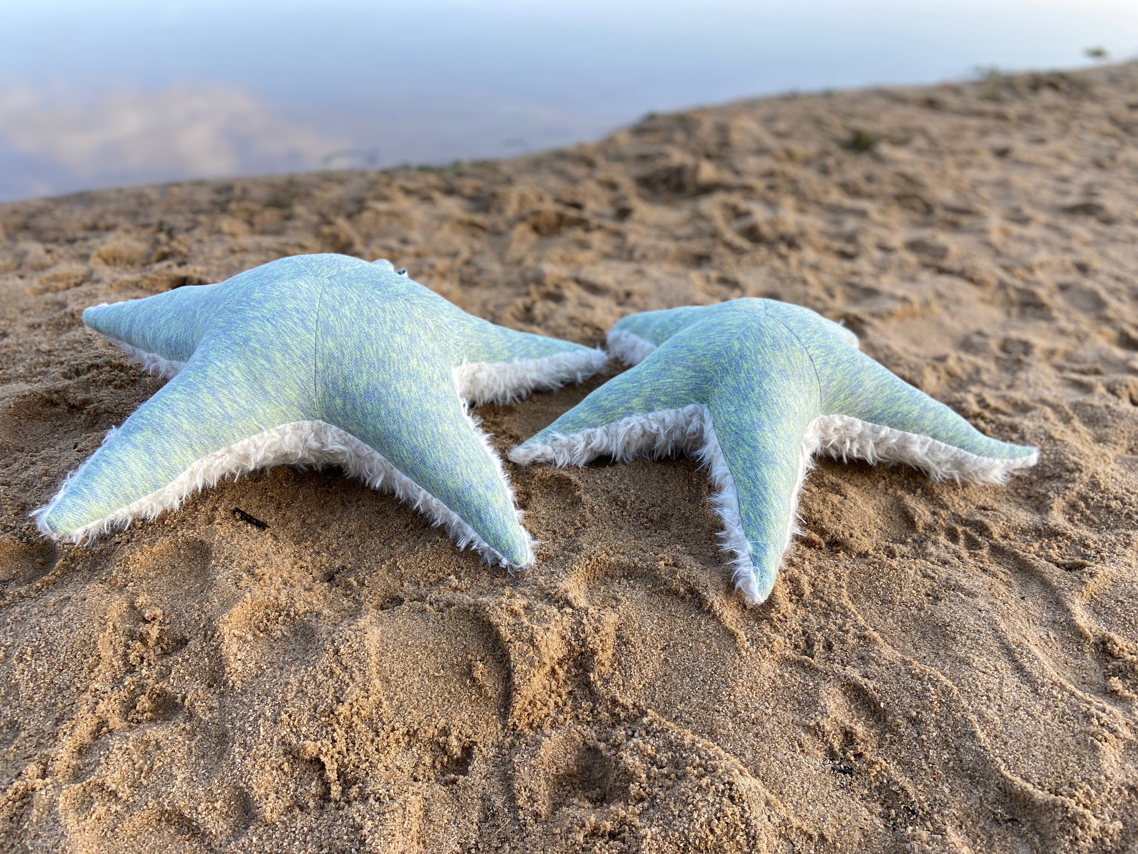 Ozean Kollektion | Seastar small