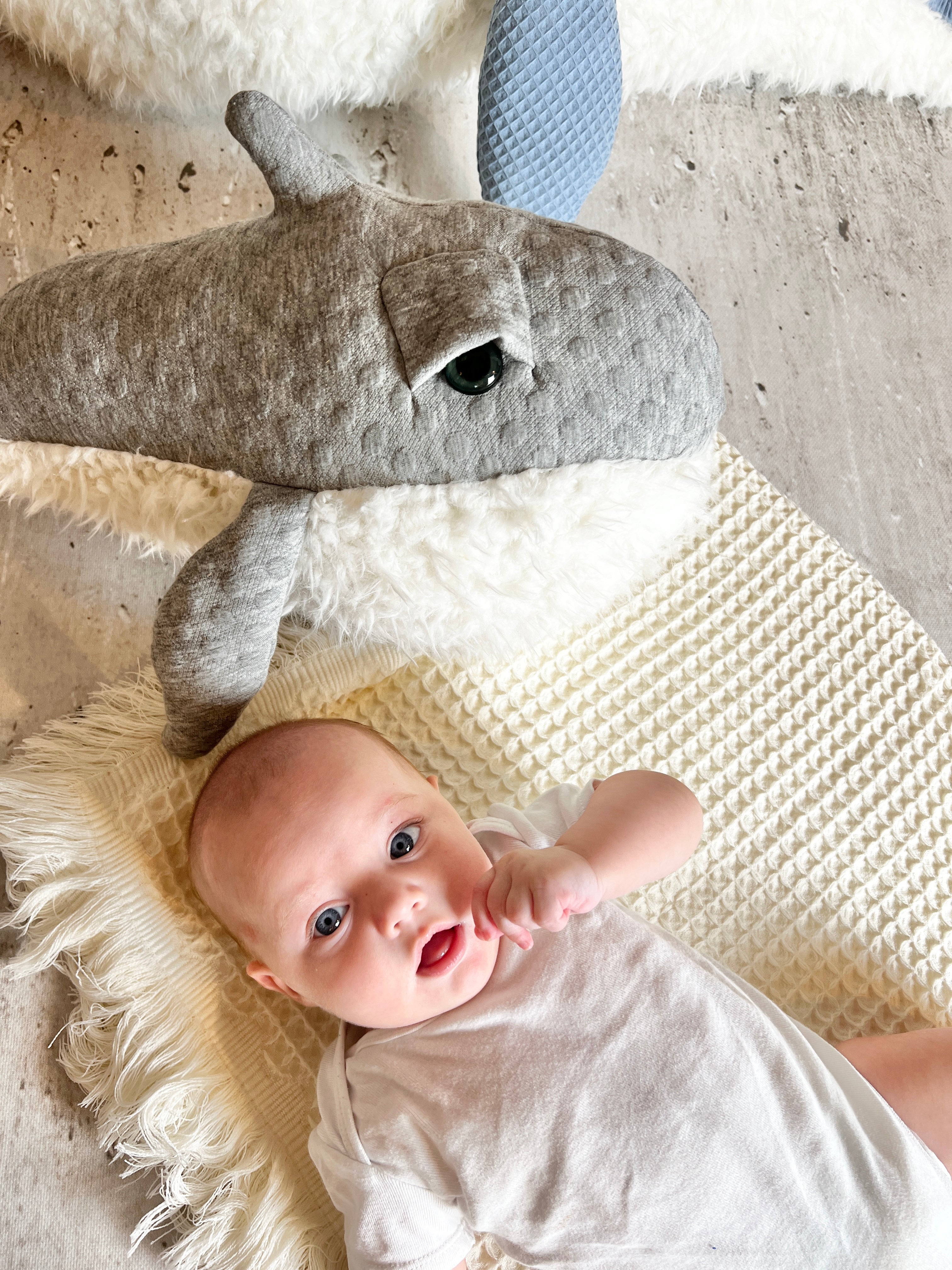 Ozean Kollektion | Blauwal Medium