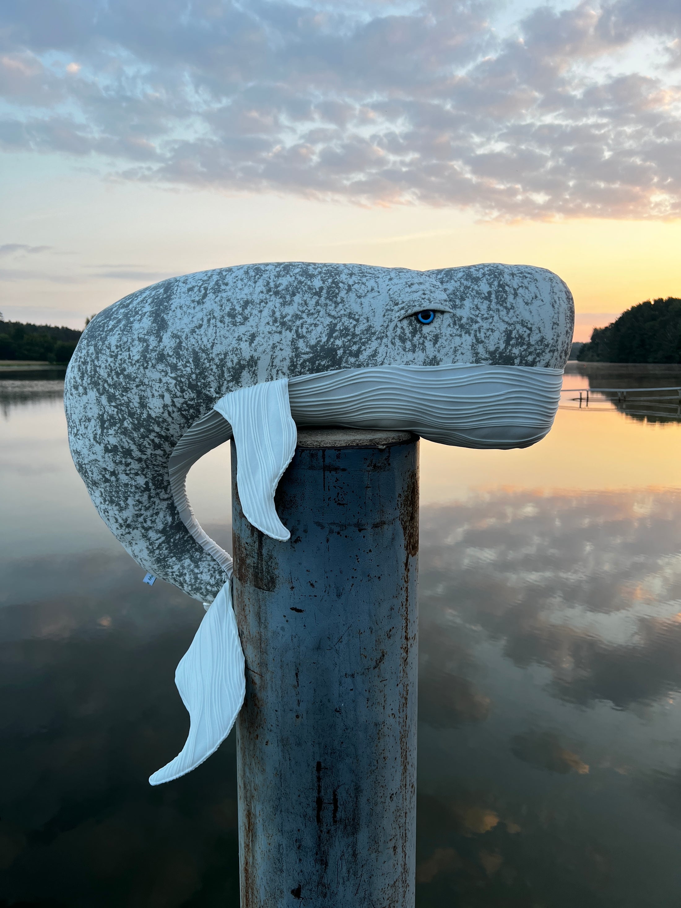 Ozean Kollektion | Pottwal