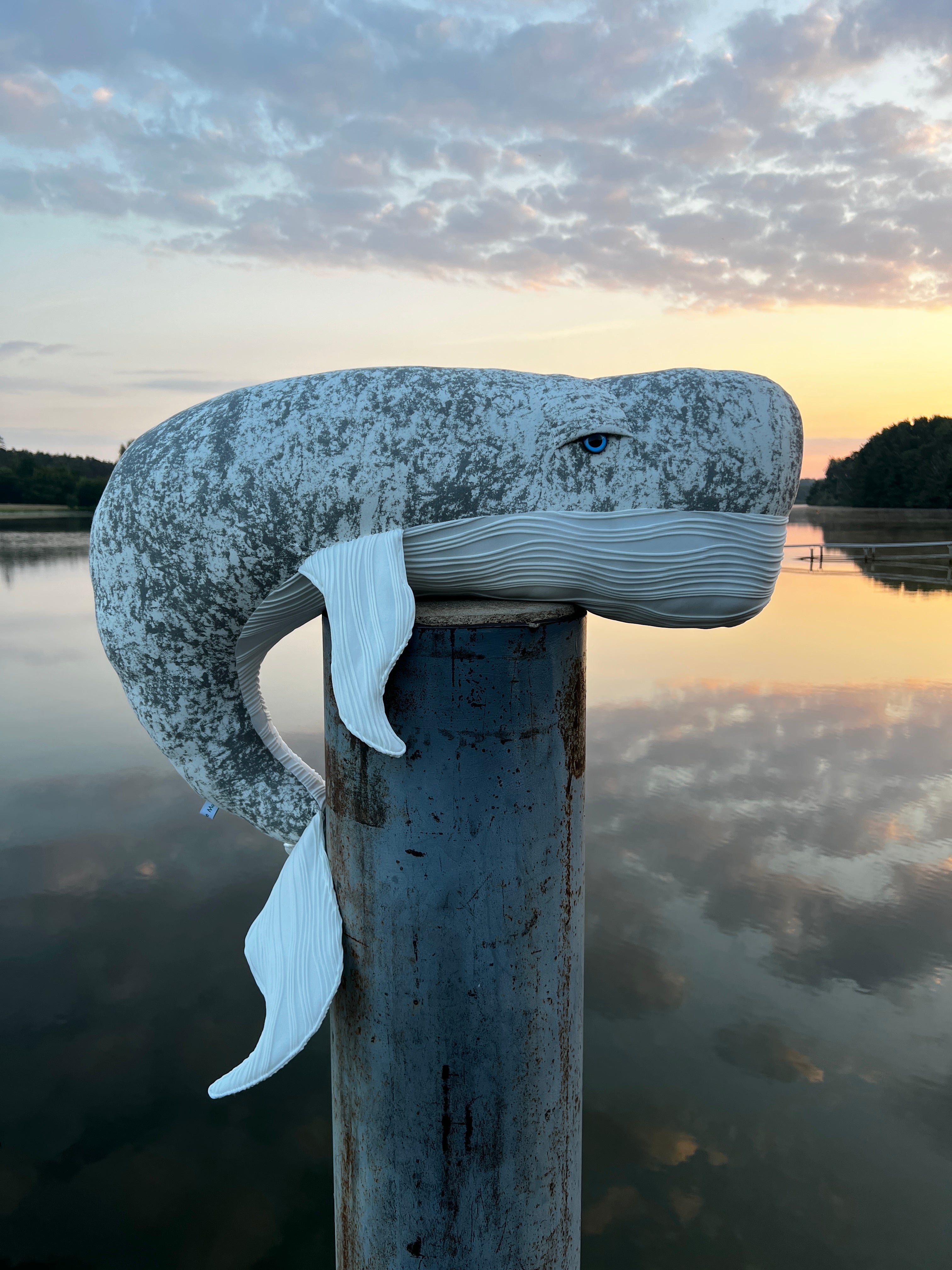 Ozean Kollektion | Pottwal