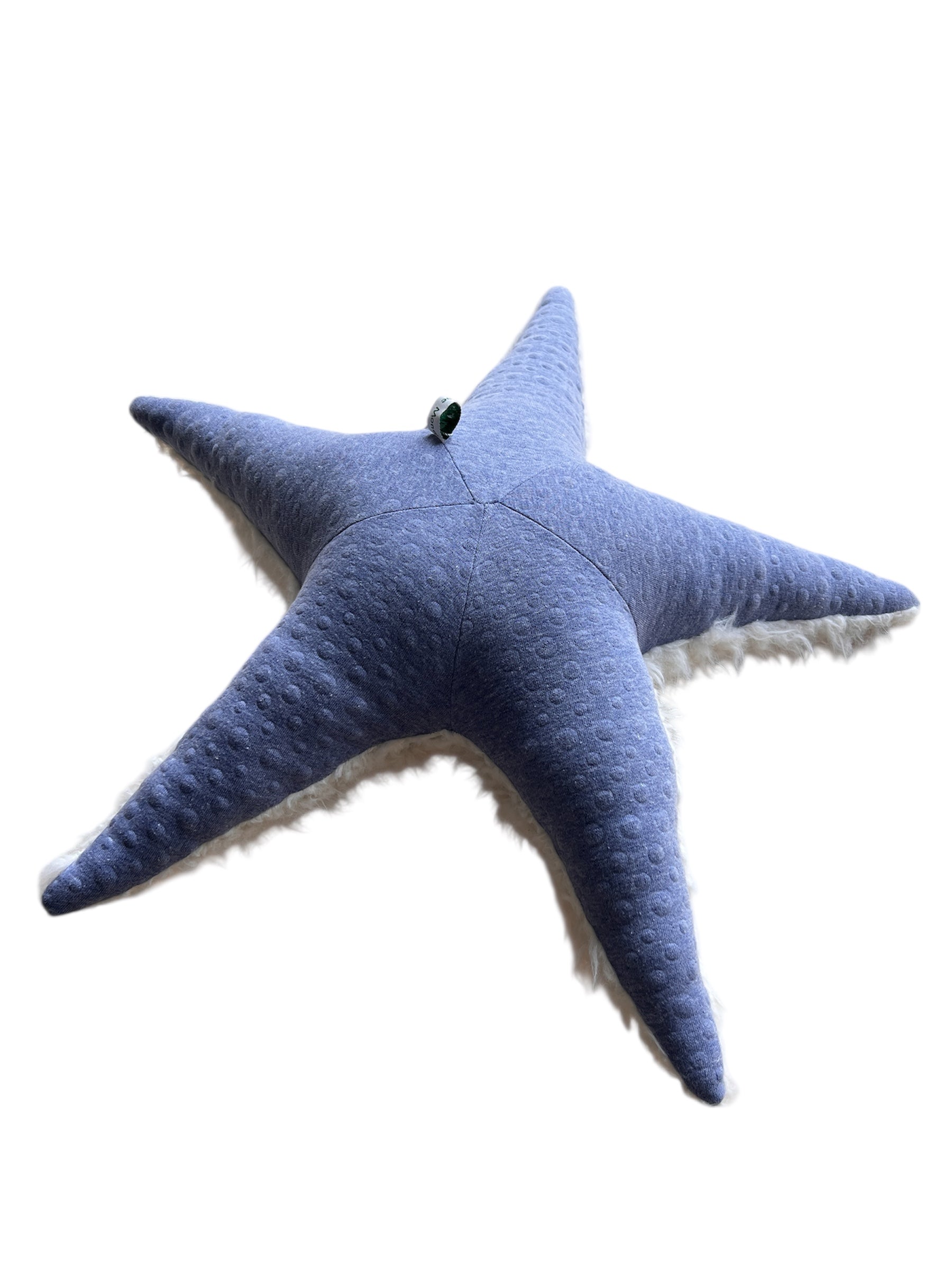 Ozean Kollektion | Seastar small