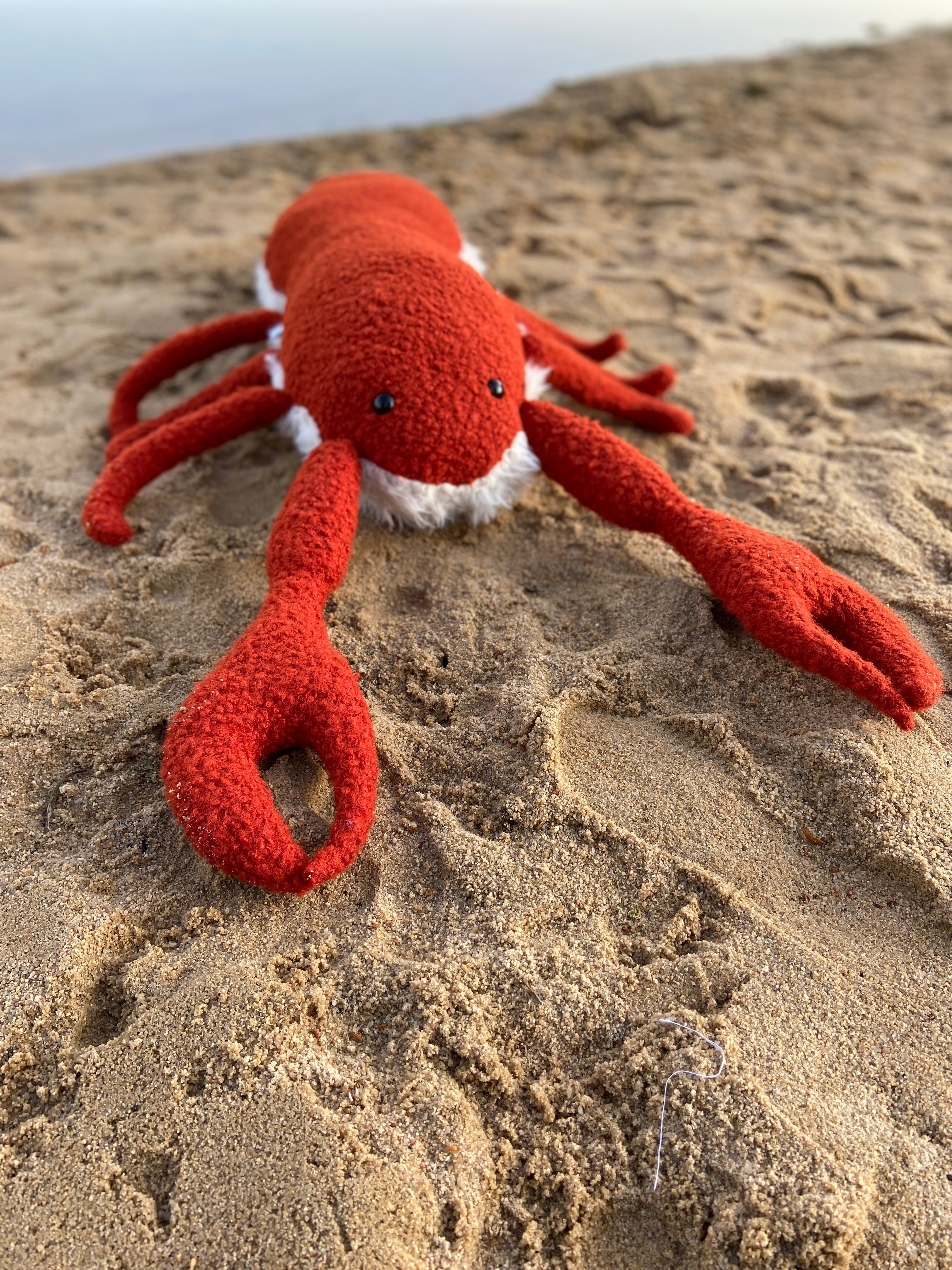 Ozean Kollektion | Lobster Big Mama