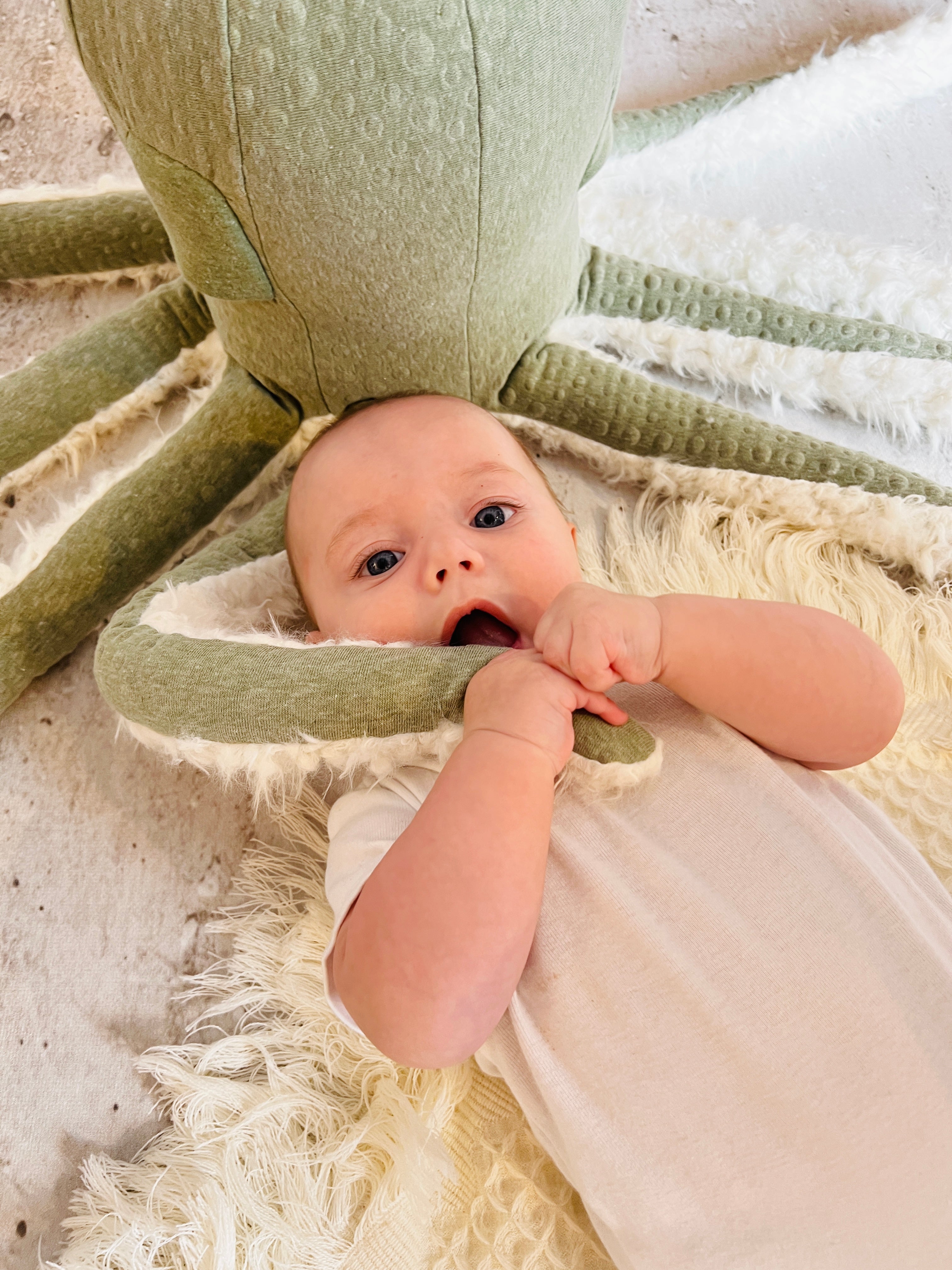 Ozean Kollektion | Oktopus Big Mama