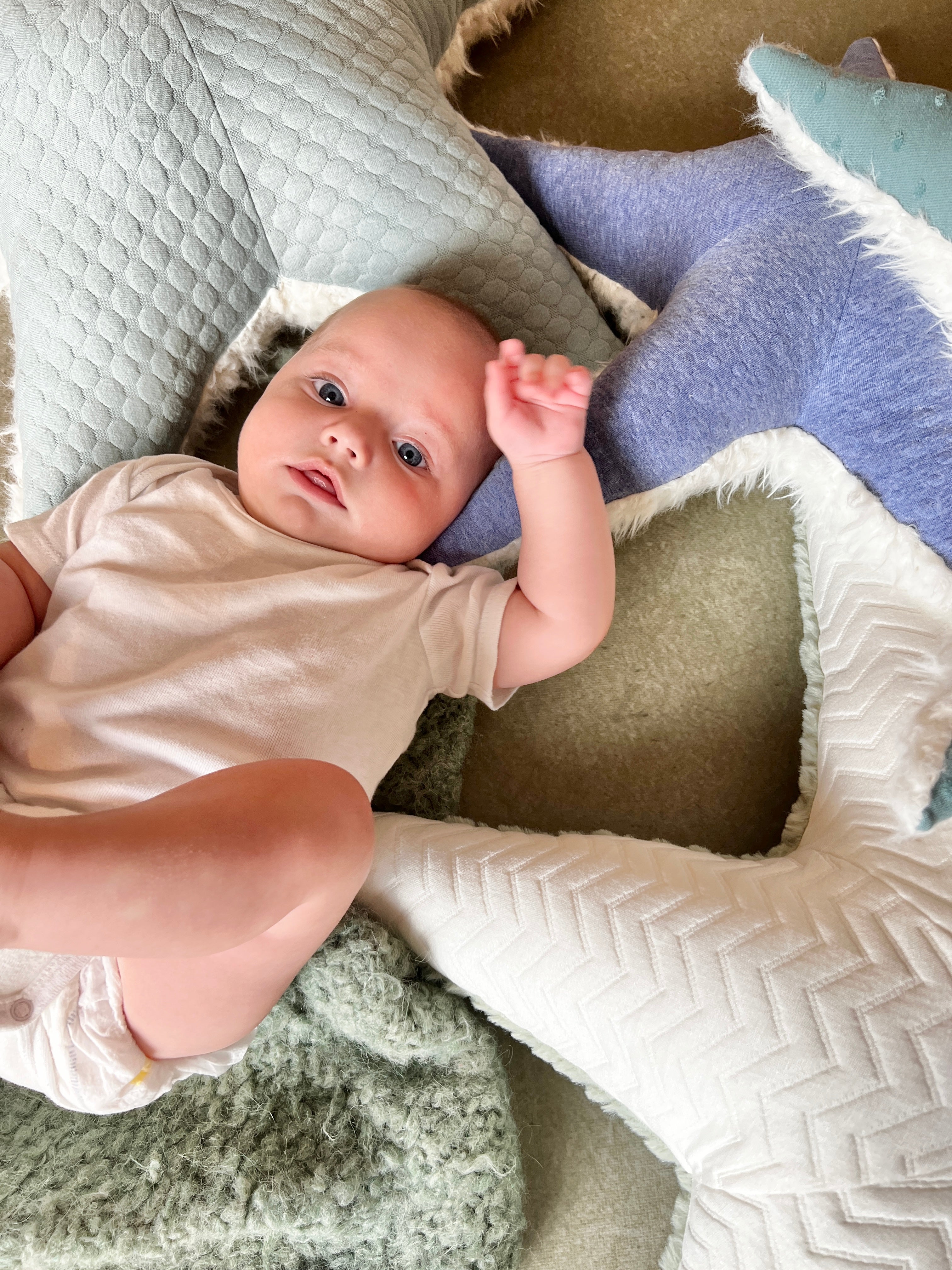 Ozean Kollektion | Seastar small