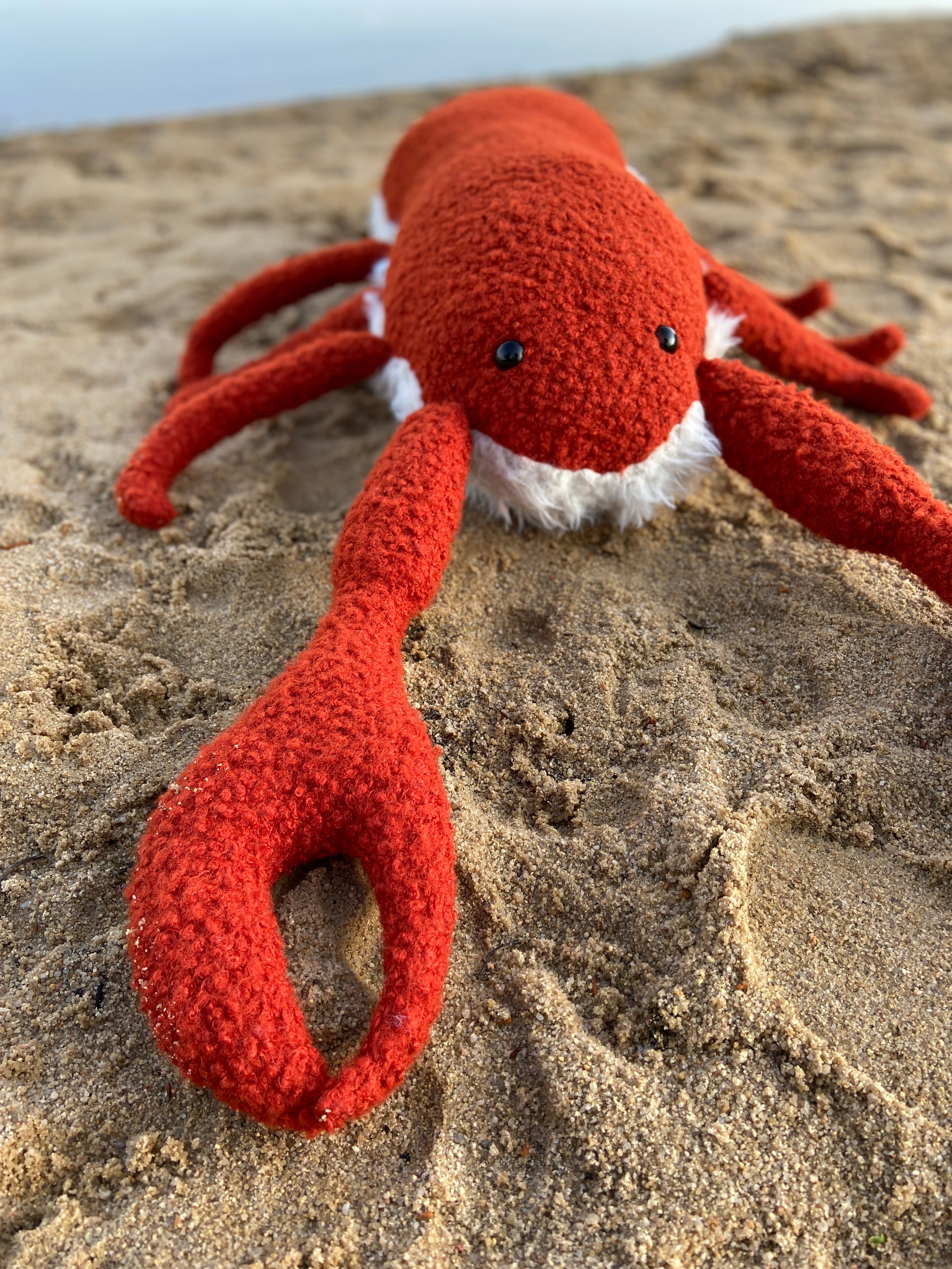 Ozean Kollektion | Lobster Big Mama