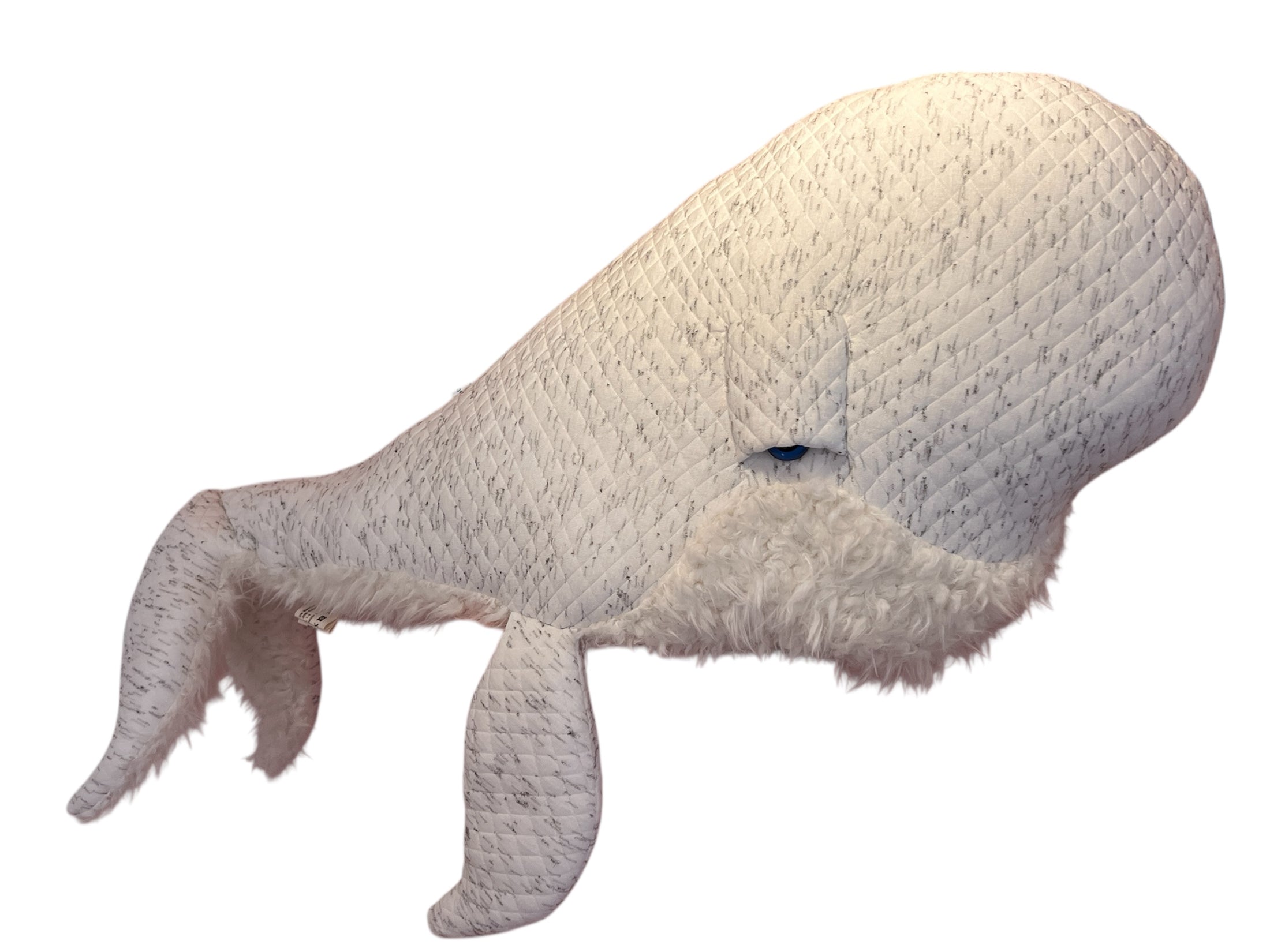 Ozean Kollektion | Beluga Wal