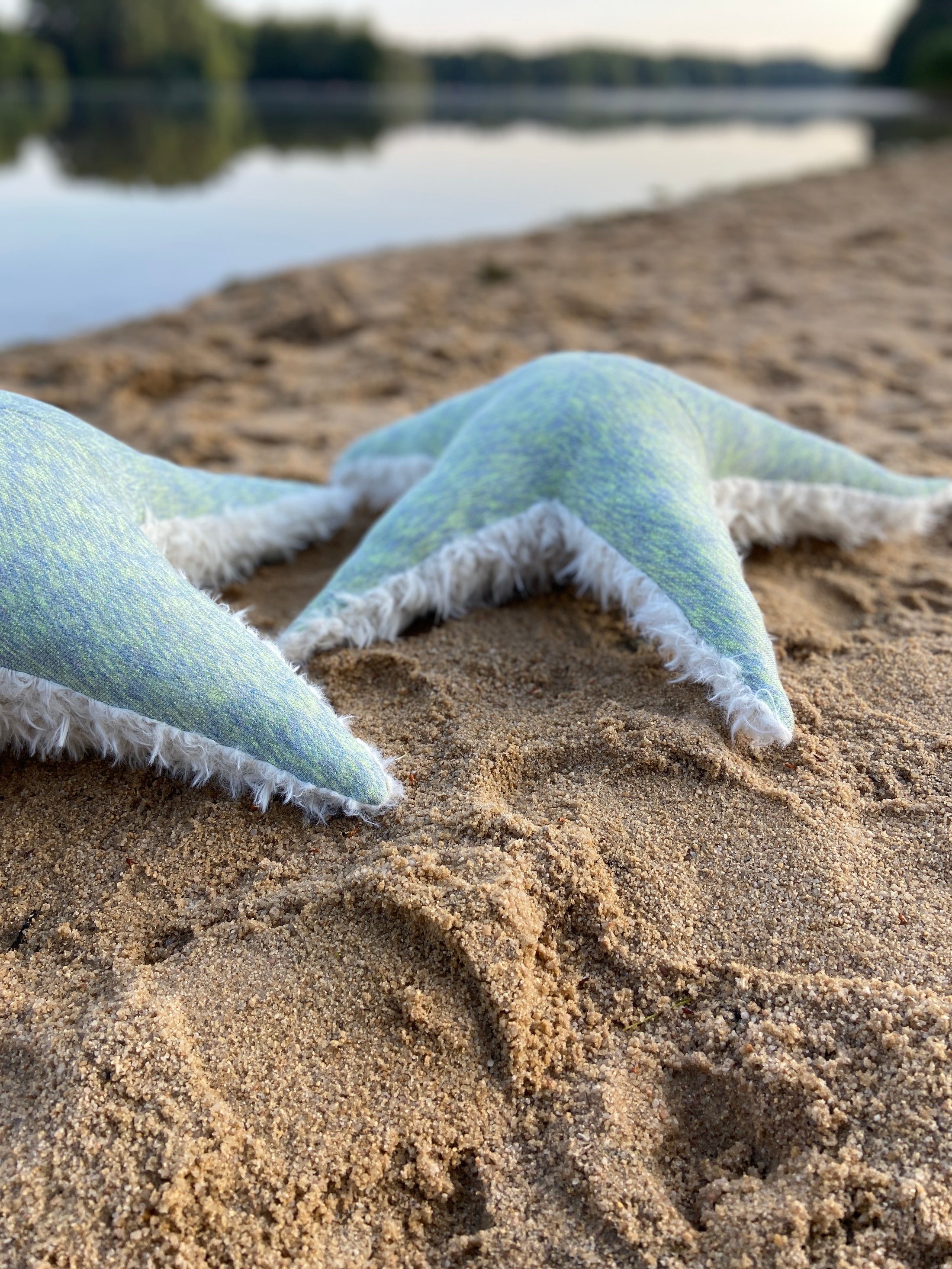 Ozean Kollektion | Seastar Big