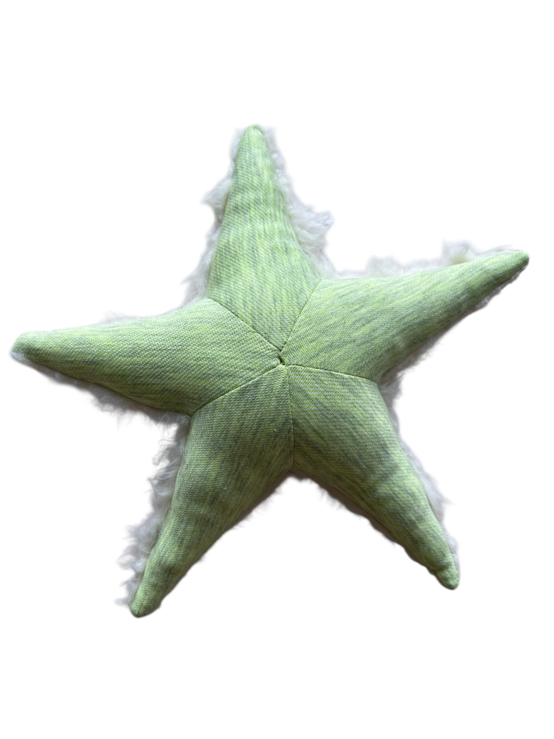 Ozean Kollektion | Seastar mini Rassel