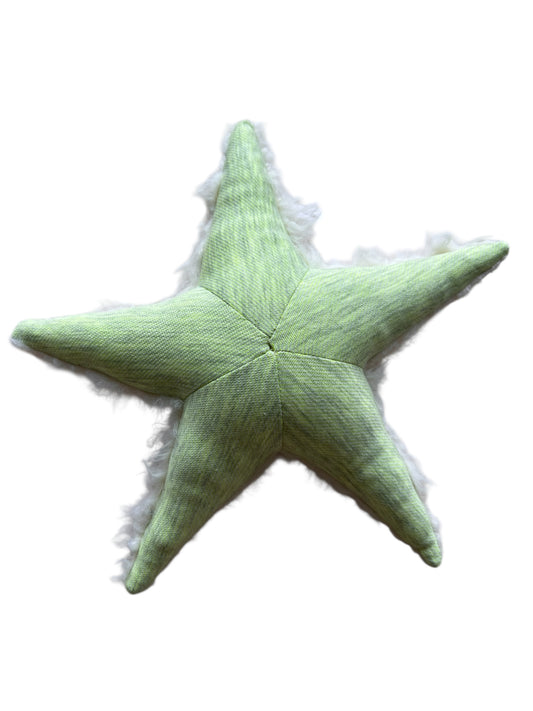 Ozean Kollektion | Seastar mini Rassel